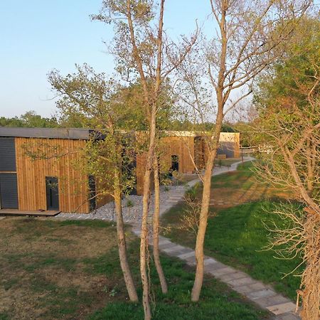 Salinas Nest - Ulcinj Stoj Ada Bojana Villa Bagian luar foto