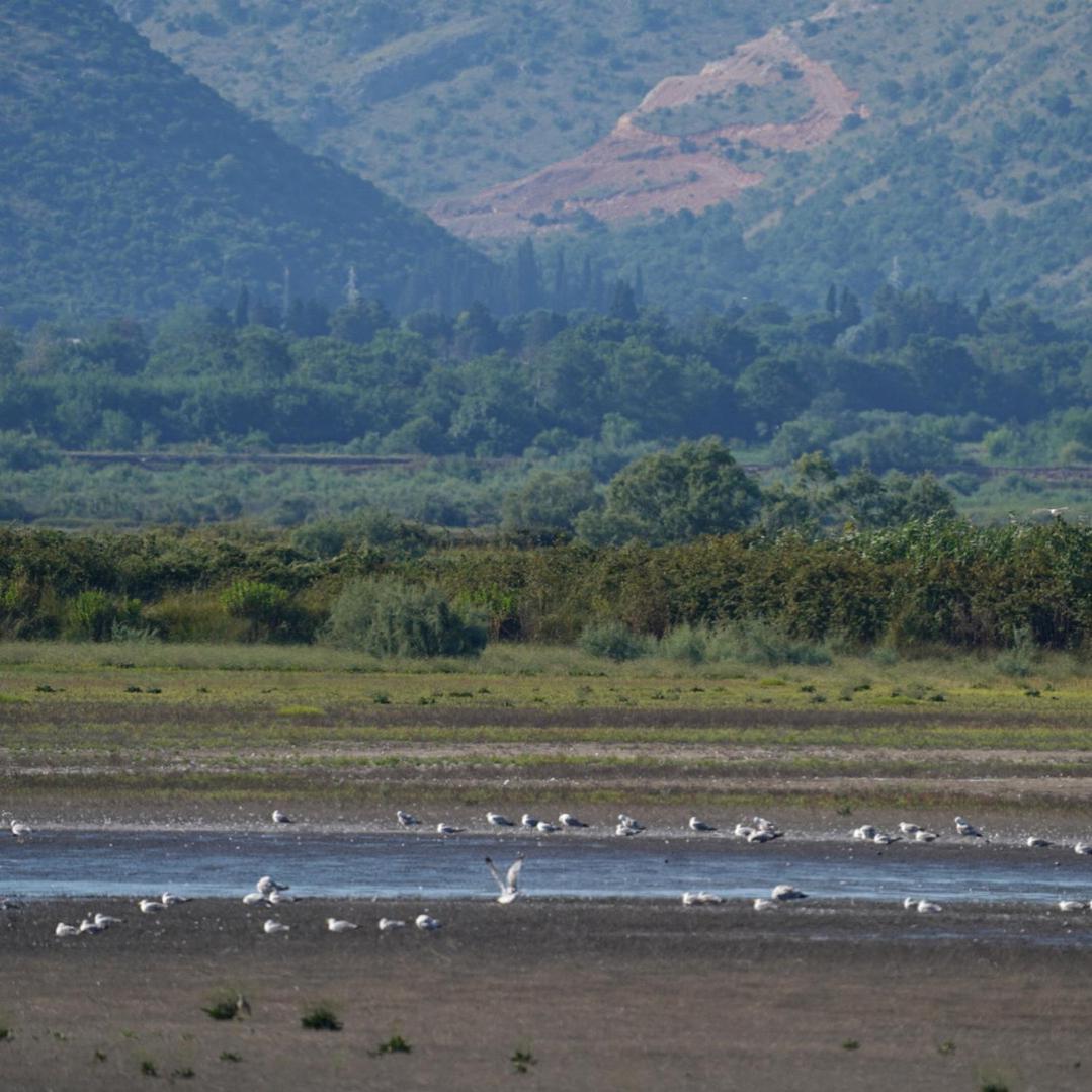 Salinas Nest - Ulcinj Stoj Ada Bojana Villa Bagian luar foto